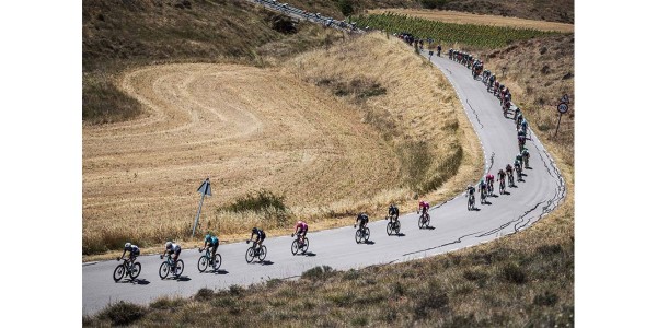 Fabio Jakobsen ha vinto il campione di tappa